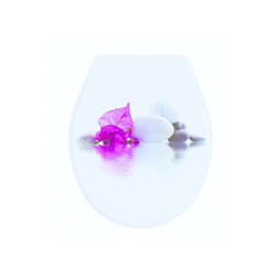 MSV 3700703948186 siège de toilette Abattant rigide Polypropylène (PP) Rose, Blanc