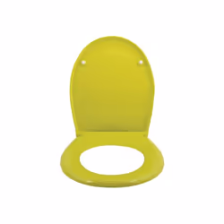 MSV 3700703949916 siège de toilette Abattant rigide Termodurcissable Vert