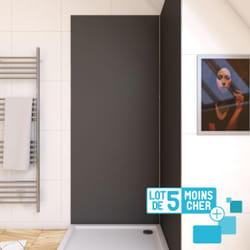 Aurlane PACP285 cabine de douche