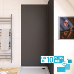 Aurlane PACP286 cabine de douche