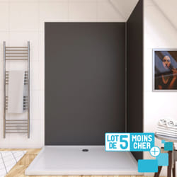 Aurlane PACP291 cabine de douche