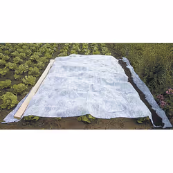 Description générale Le voile à couper est vendu en rouleau, idéal pour les jardiniers souhaitant protéger leurs plantations. ...