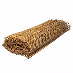 Canisse en roseau naturel WERKA PRO 15 x 5 m