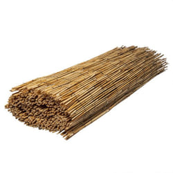 Canisse en roseau naturel WERKA PRO 15 x 5 m