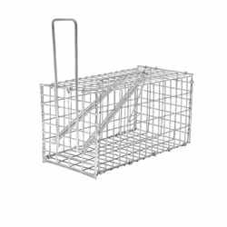 Nasse pour souris ou rat WERKA PRO 20 x 10 x 10 cm