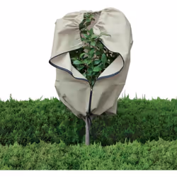 Description générale Housse d'hivernage pour arbustes et végétaux, idéale pour protéger vos plantes en extérieur pendant la s ...