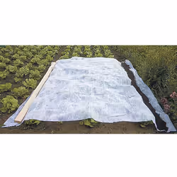 Description détaillée du produit Produit: Voile d'hivernage Utilité: protection des cultures et aide à la croissance 3 dimens ...