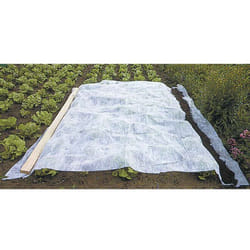 Voile d'hivernage blanc 60g-m2 Werka Pro 2 x 10m
