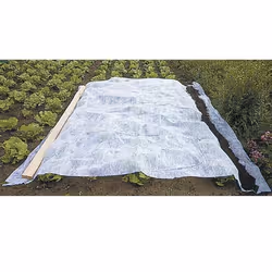 Voile dhivernage - Werkapro - 1x25m - Blanc - 60g/m2 - Protection des cultures