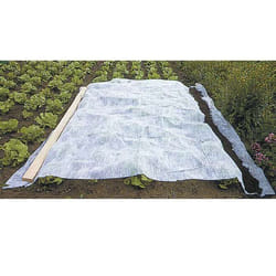 Voile dhivernage - Werkapro - 1x25m - Blanc - 60g/m2 - Protection des cultures