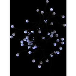 Guirlande boule solaire 50 led blanc froid 9.5 mètres