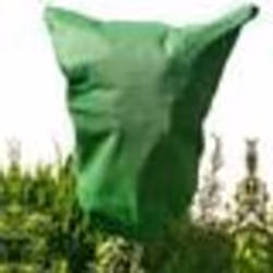 Housse dhivernage - WERKA PRO - 80x100cm - 90g/m2 - 5 pcs - Protection plantes