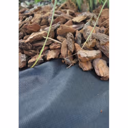 Informations produit : Produit: Toile de paillage Usage: Jardin Utilisation: Protection du sol Matière: polypropylène non-tis ...