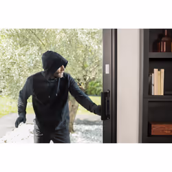 Netatmo DTG-EC capteur de porte/fenêtre Sans fil Porte/Fenêtre Blanc