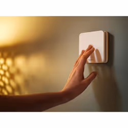 Netatmo CO Detector Détecteur de monoxyde de carbone Raccordements sans fil