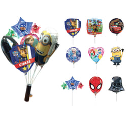 MC & Co Colis 25 Ballons Licenses + Présentoir (Ean Unique)