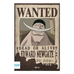 ABYstyle 3700789263432 affichages 52 x 35 cm 1 pièce(s)