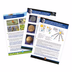 Buki TS006B coffret de sciences pour enfant - Vue supplémentaire 4