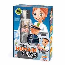 Buki Corps humain, Kit d'expériences, Anatomie, 8 an(s), Multicolore