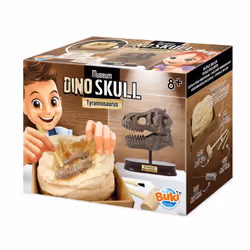 Buki Museum Skull T-rex, Kit d'expériences, Paléontologie, 8 an(s)