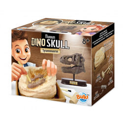 Buki Museum Skull T-rex