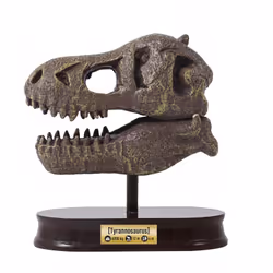 Buki Museum Skull T-rex - Vue supplémentaire 4