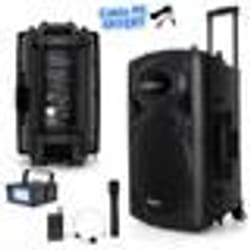 Enceinte Sono DJ Karaoké - IBIZA SOUND - PORT15VHF-BT - 800W - Bluetooth - 2 micros sans fil