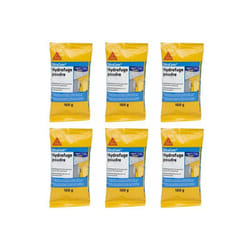 Sika - Lot de 6 additifs imperméabilisants béton et mortier Cem Hydrofuge Poudre - 100g