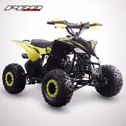 Quad Enfant 110 cm3 PROBIKE 110-R / Vert