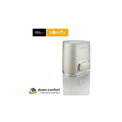 Somfy - Moteur seul de remplacement pr elixo optimo