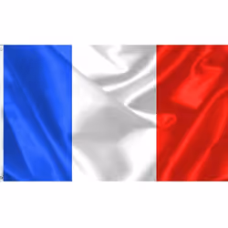 Drapeau Français 90 x 150 cm En polyester Dimensions : Hauteur 90 cm - Largeur 150 cm Affichez votre fierté pour la France av ...