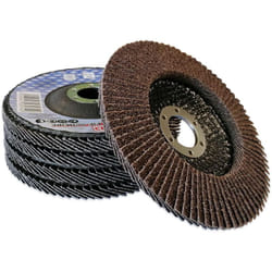 Bgs Technic - Disque a lamelle diametre 125 (lot de 5) - choisissezici : grain 80