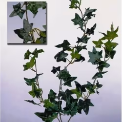 Plante artificielle - EFCO - Lierre suspendu - 64 feuilles - Décoration intérieure - Vert