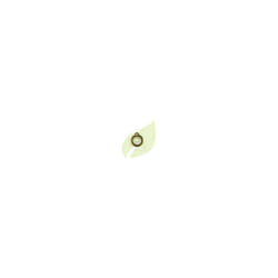 Ressort lanceur tronconneuse Husqvarna 42, 44, 154, 238, 242, 254