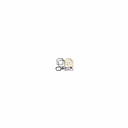 Pochette de joints Briggs & Stratton pour tondeuse 2 & 3CV Cette pochette de joint moteur tondeuse convient pour les types mo ...