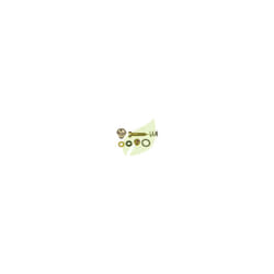 Kit vis carburateur pour Briggs&stratton 299059