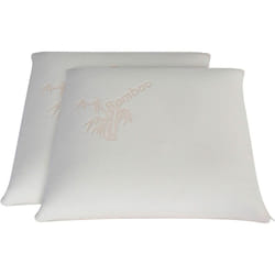 Lot de 2 oreillers 60x60 cm bamboo Mousse avec mémoire de forme - Olympe Literie