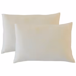 CARACTERISTIQUES : Dimensions : 50x70 cm Epaisseur : 20 cm Technologie : Mémoire de forme/li> Confort : Mi-ferme Déhoussable  ...