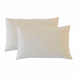 CARACTERISTIQUES : Dimensions : 30x50 cm Epaisseur : 12 cm Technologie : Mémoire de forme/li> Confort : Mi-ferme Déhoussable  ...