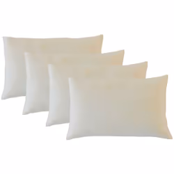 CARACTERISTIQUES : Dimensions : 30x50 cm Epaisseur : 12 cm Technologie : Mémoire de forme/li> Confort : Mi-ferme Déhoussable  ...