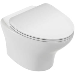 Wc suspendu compact sans bride Jacob Delafon Nouvelle Vague + abattant Economie d'eau