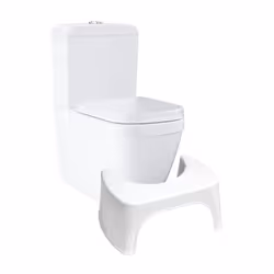 Points forts du pack WC à poser Evacuation universelle pour sortie horizontale et verticale Cuvette WC sans bride : facilité  ...