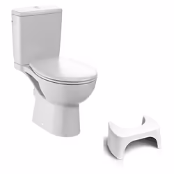 Les avantages de votre WC sans bride Jacob Delafon Abattant : déclipsable et ultra hygiènique . Silencieux : équipé d'un robi ...