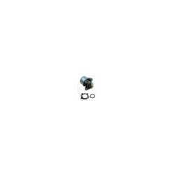 Carburateur compatible moteur Briggs&stratton Quantum (Choke) 499059, 497856