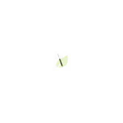 Ressort de régulateur Briggs&stratton 690254