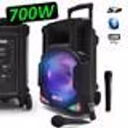 Enceinte sono Karaoké MYDJ MDJ15 Ring à LEDs RVB 700W 15 USB Bluetooth PC TWS Micros VHF et filaire Fête Anniversaire