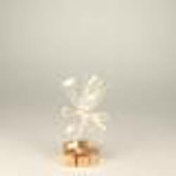 40 SACHETS CONFISERIES 16X9.5X4CM  Transparent
