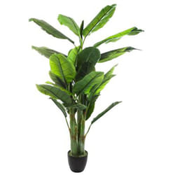 Bananier vert en Polyéthylène - h 170 cm Pegane