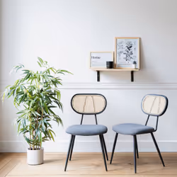 Happy Garden CHA50G chaise d'extérieur Gris