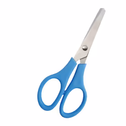 Wonday FCI131451, Enfant, Découpe droite, Unique, Bleu, Acier inoxydable, Universel
